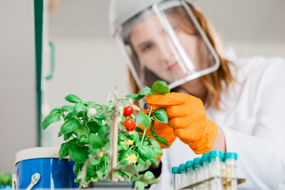 Bioanalytik an der Hochschule Anhalt