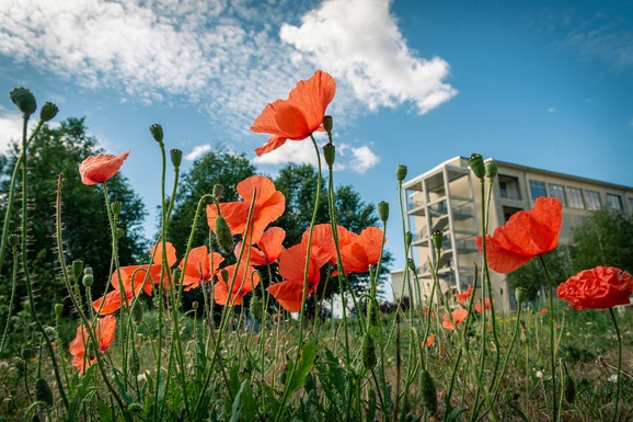 Campus life at Merseburg University of Applied Sciences